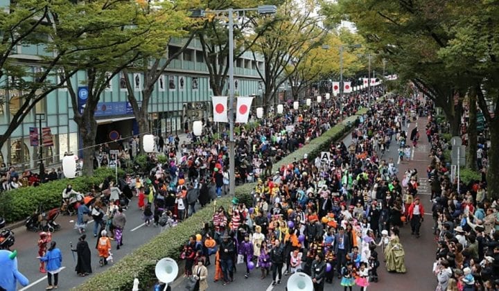 TOKYO (Harajuku & Omotesando)