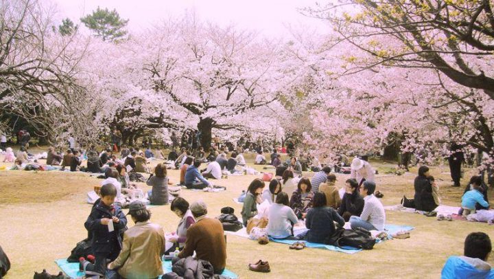 Shinjuku, Tokyo: SHINJUKU GYOEN