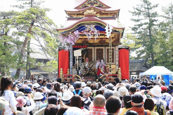 Festival Musim Semi di Jepang