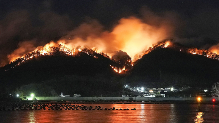 Kebakaran Hutan Terbesar Dalam 50 Tahun di Jepang